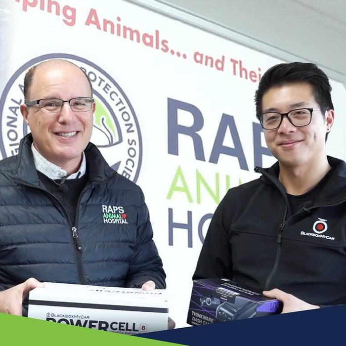 BlackboxMyCar | Helping Out In the Community - Protecting the Regional Animal Protection Society (RAPS) with Dash Cam and Battery Pack 
