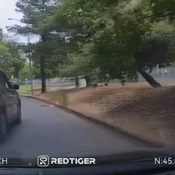 Beaverton Police road rage dash cam footage published by KPTV