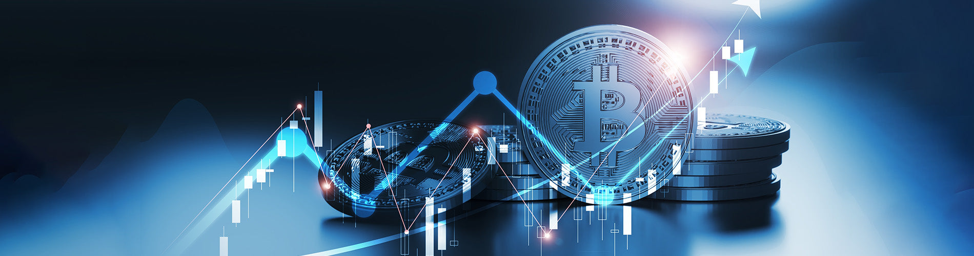 BlackboxMyCar: Now Accepting Crypto Payments – Shop Your Way | BlackboxMyCar