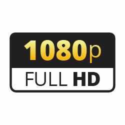 1080p Dash Cams